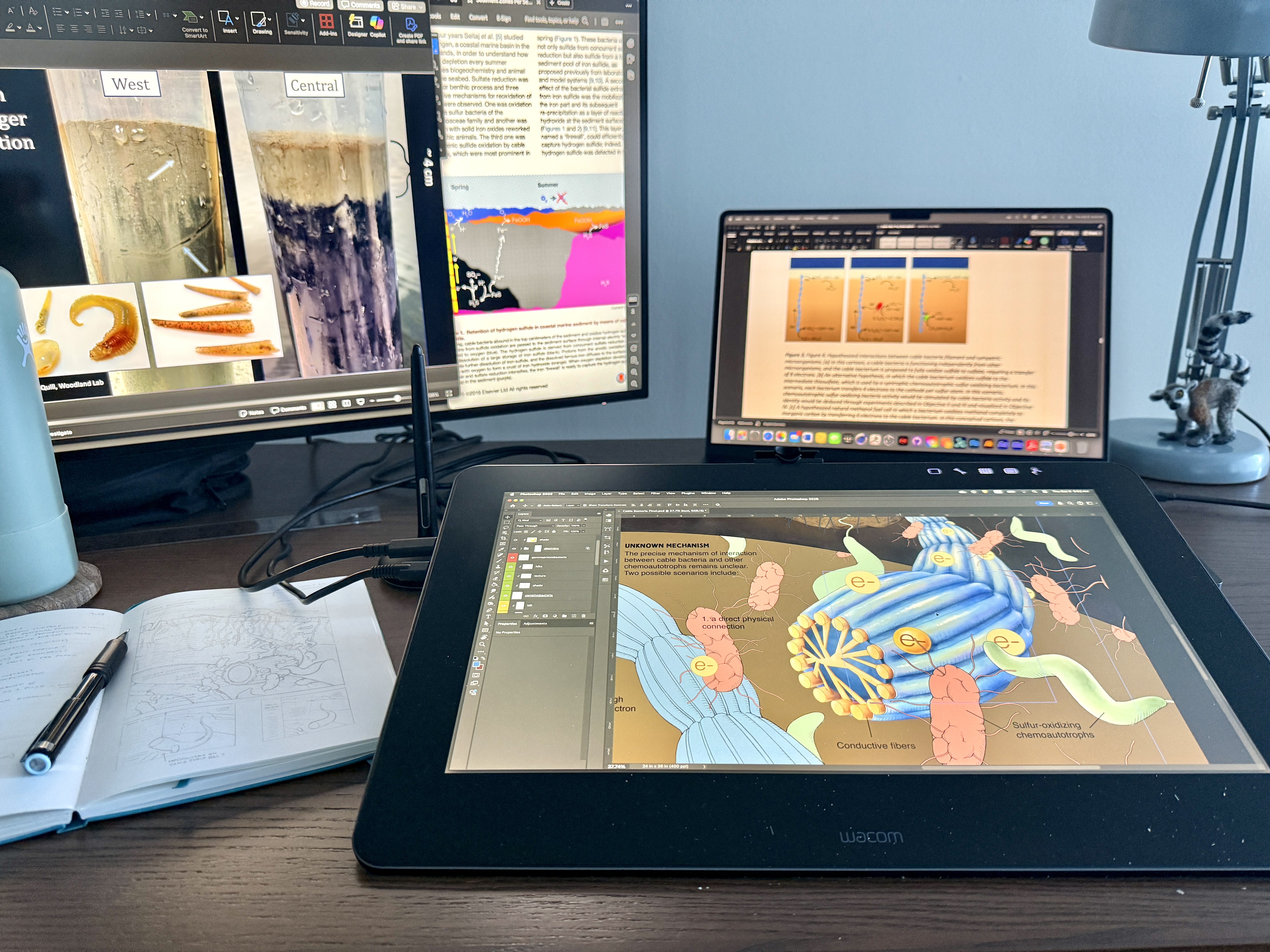 Talia Mastalski workstation